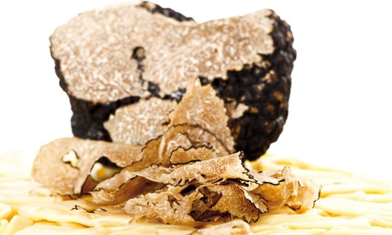 Conoce a fondo la trufa, dónde comerla y cómo cocinarla