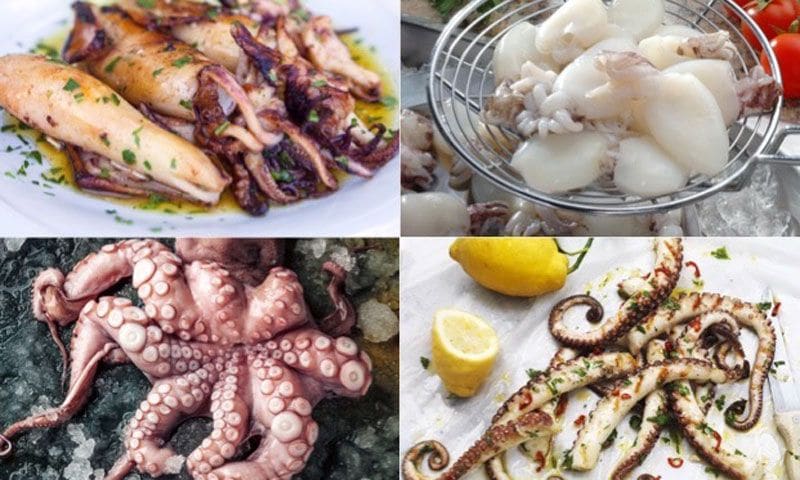 Descubre lo que pueden dar de sí en la cocina el pulpo y el calamar