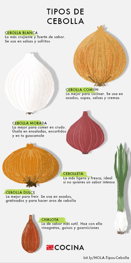 Tipos de Cebollas y su uso en la cocina