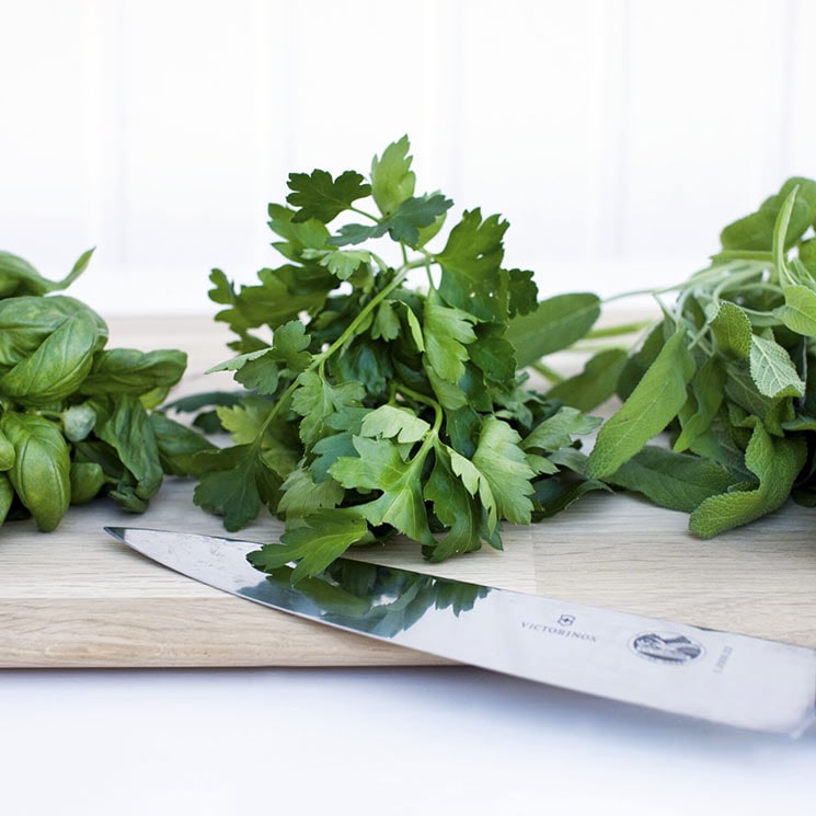 ¿Sabes qué hierbas aromáticas no pueden faltar en tu despensa y cómo cocinarlas? ¿Sabes qué hierbas aromáticas no pueden faltar en tu despensa y cómo cocinarlas?