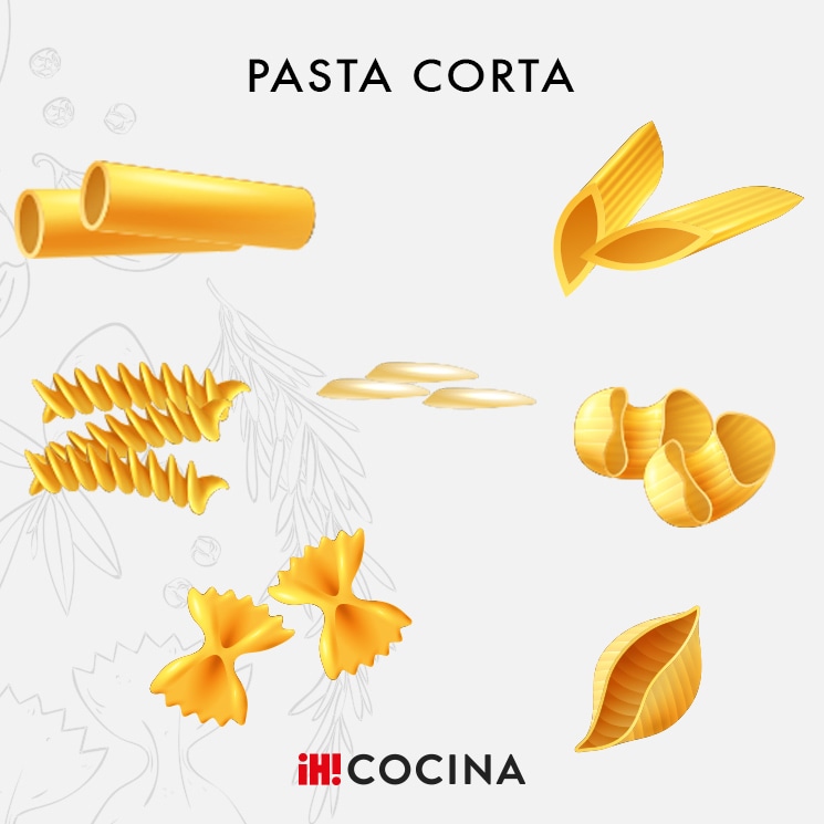 Y tú, ¿sabes distinguir entre los diferentes tipos de pasta corta? Y tú, ¿sabes distinguir entre los diferentes tipos de pasta corta?