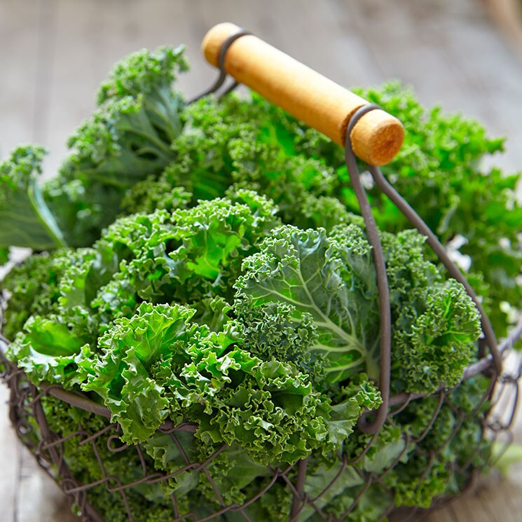 Cocina rica, sana y variada con kale Cocina rica, sana y variada con kale