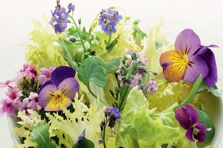 Recetas light para perder peso