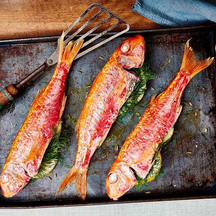 Cocina ligera: siete recetas sanas y muy sabrosas para disfrutar del pescado de temporada Cocina ligera: siete recetas sanas y muy sabrosas para disfrutar del pescado de temporada