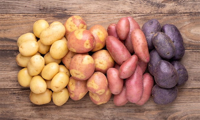 Diferentes variedades de patata