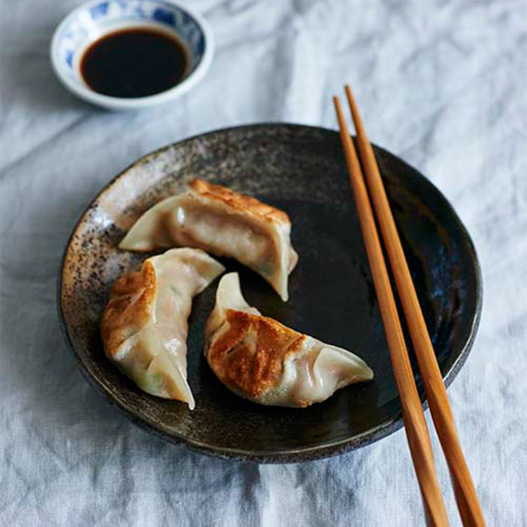 Gyozas de carne y setas