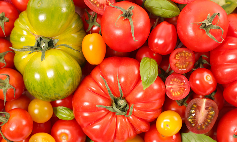 Tomates, berenjenas, calabacines… ¿sabías que, en realidad, no son verduras?