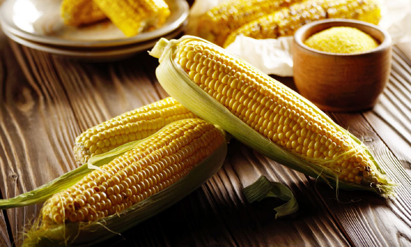 ¿Sabes de cuántas maneras distintas se puede cocinar el maíz?