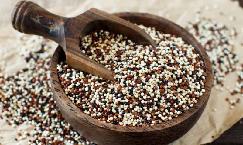 9 recetas con quinoa muy fáciles de preparar