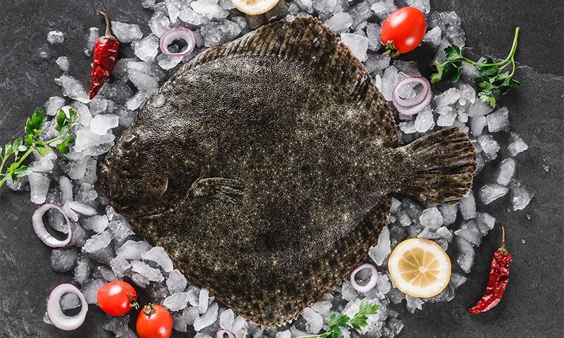 Cocina con rodaballo, un pescado delicioso y muy saludable