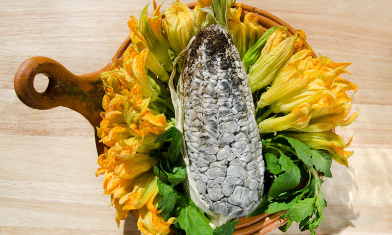 Huitlacoche, comida de dioses