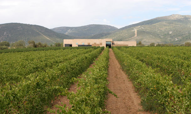 Vallegarcía: 20 años de una bodega emblemática