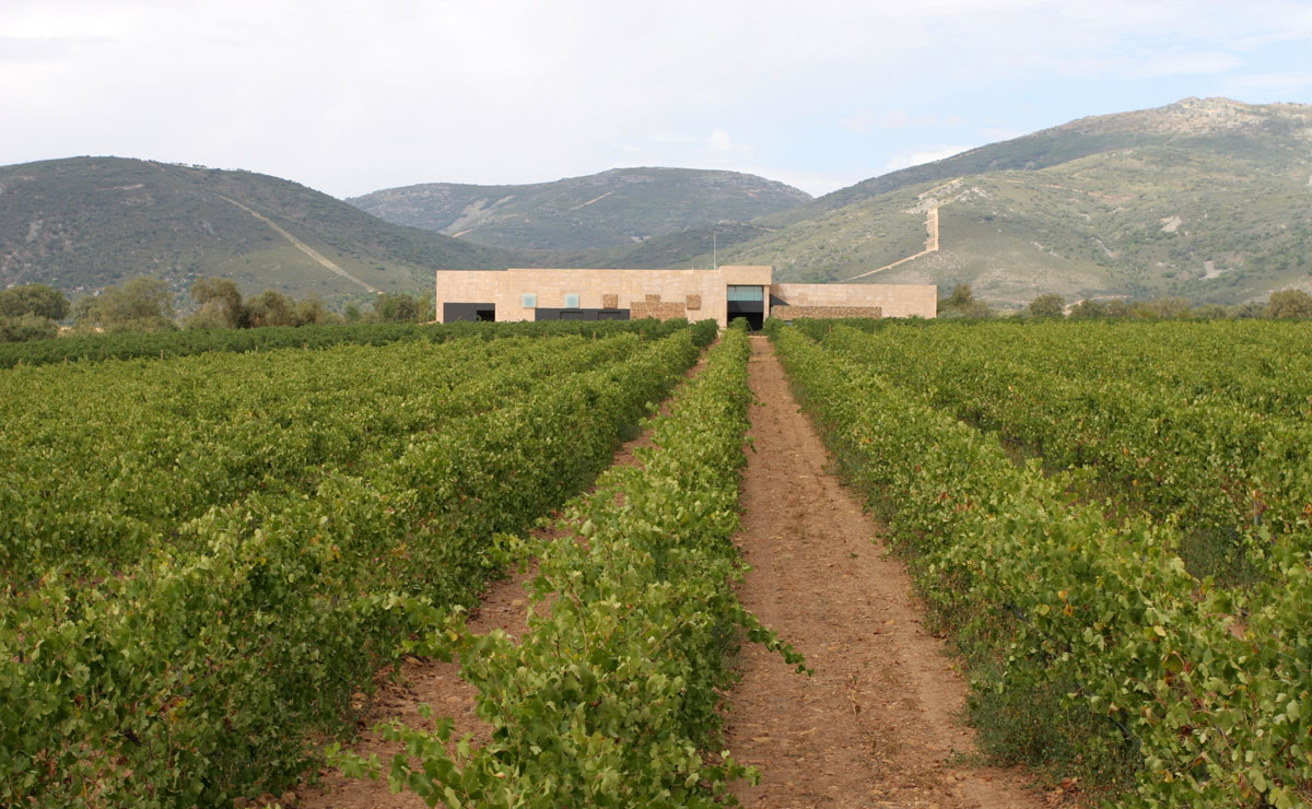 Vallegarcía: 20 años de una bodega emblemática