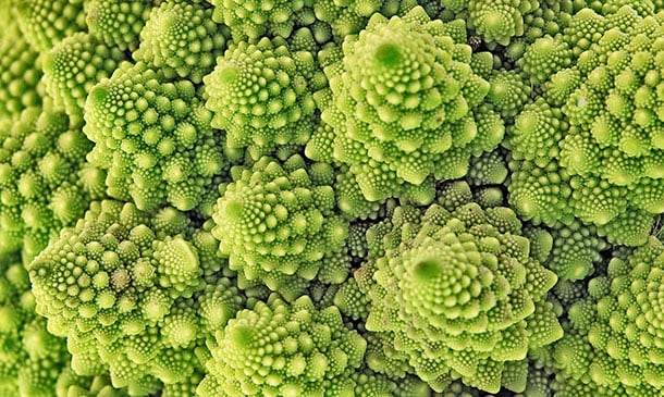 Recetas fáciles con romanesco, una verdura tan fascinante como saludable Recetas fáciles con romanesco, una verdura tan fascinante como saludable
