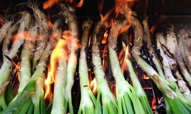 'Calçots': cómo hacerlos, cómo se comen y dónde tomar los mejores