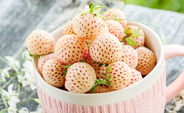 ‘Pineberry’: las (preciosas) fresas blancas que saben a piña