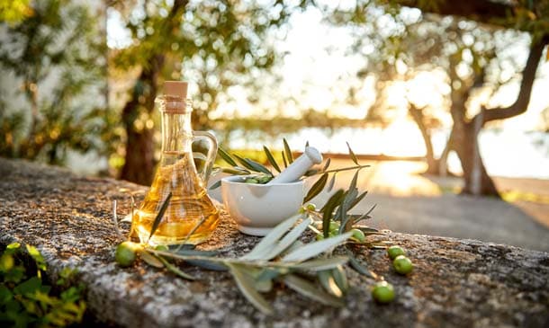 Acebuche, el 'alma' del origen del aceite de oliva