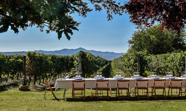 Las bodegas son (también) para el verano