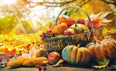Cocina de otoño: los imprescindibles de tu cesta de la compra