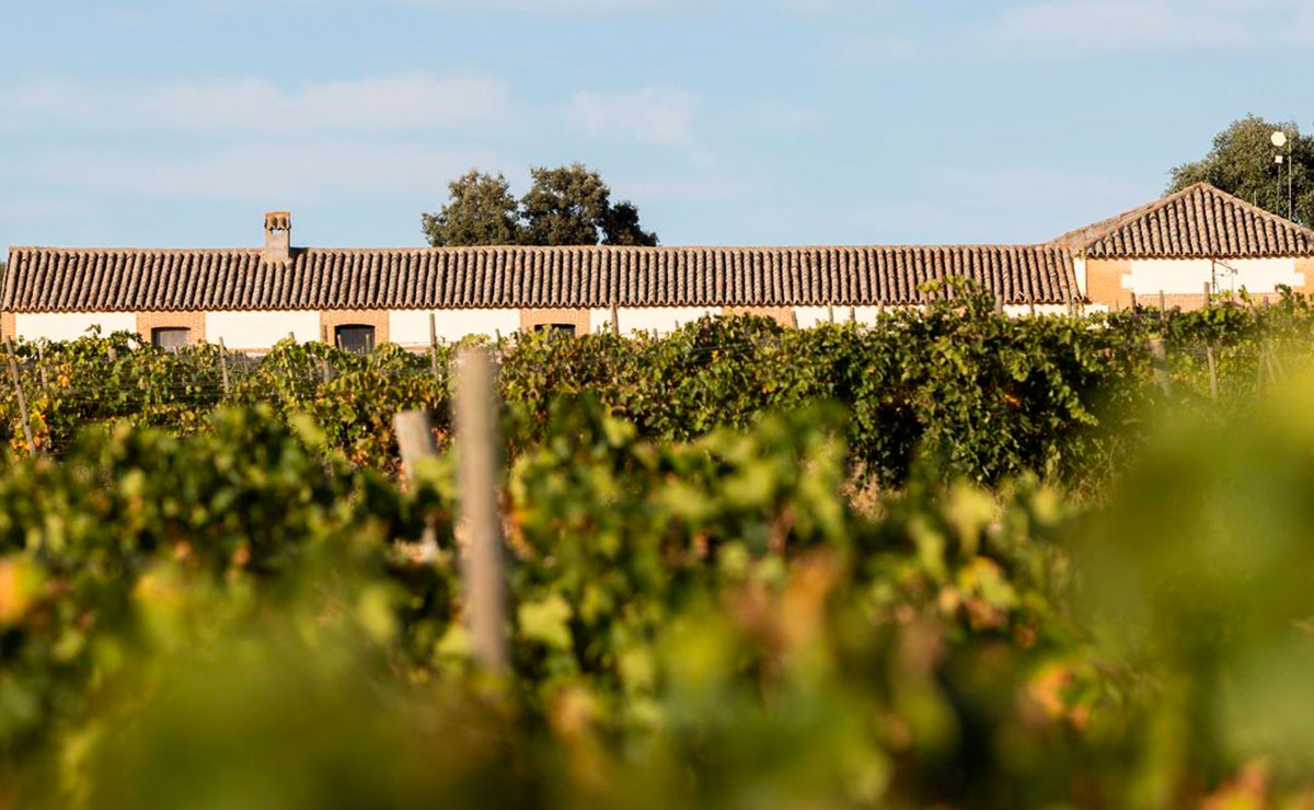 Así es la relación de Tamara Falcó con la bodega que fundó su padre, el Marqués de Griñón