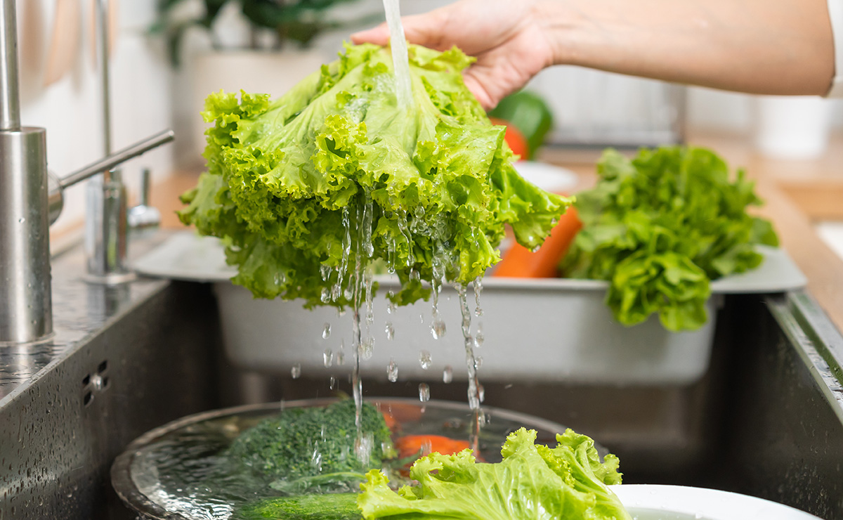 Lavando lechuga bajo chorro de agua en un fregadero