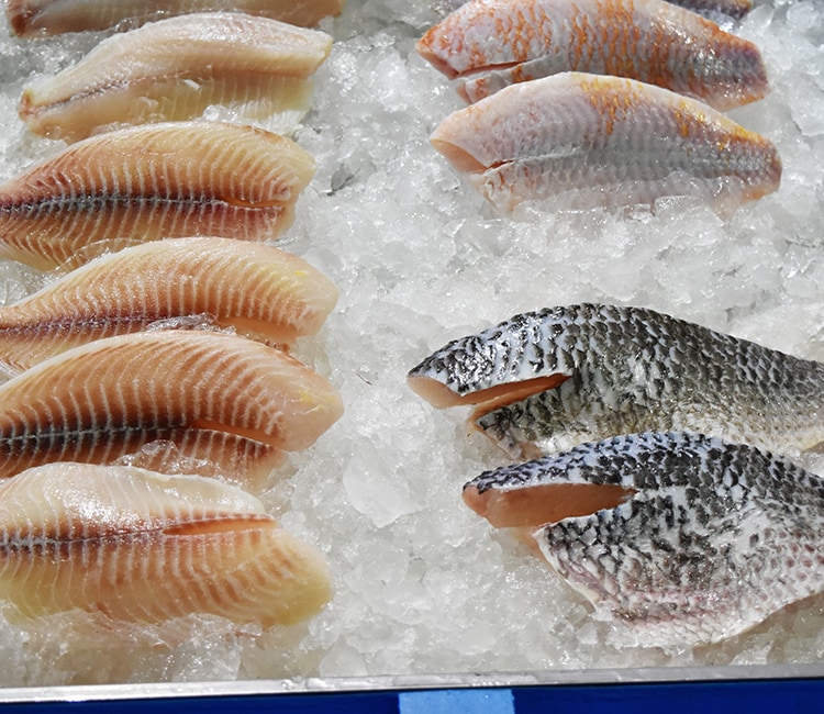 Filetes de pescado congelado sobre hielo