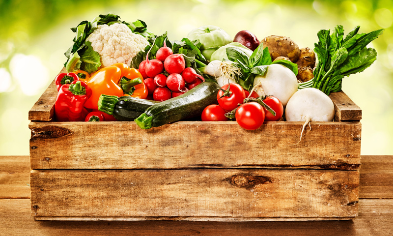 Frescas, congeladas, enlatadas… ¿cómo aportan las verduras más beneficios al organismo?