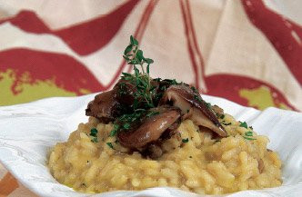 Risotto de setas