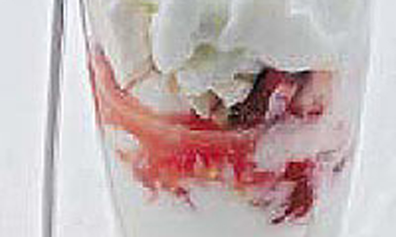 Batido de yogur con fresas