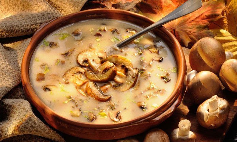 Sopa de champiñones