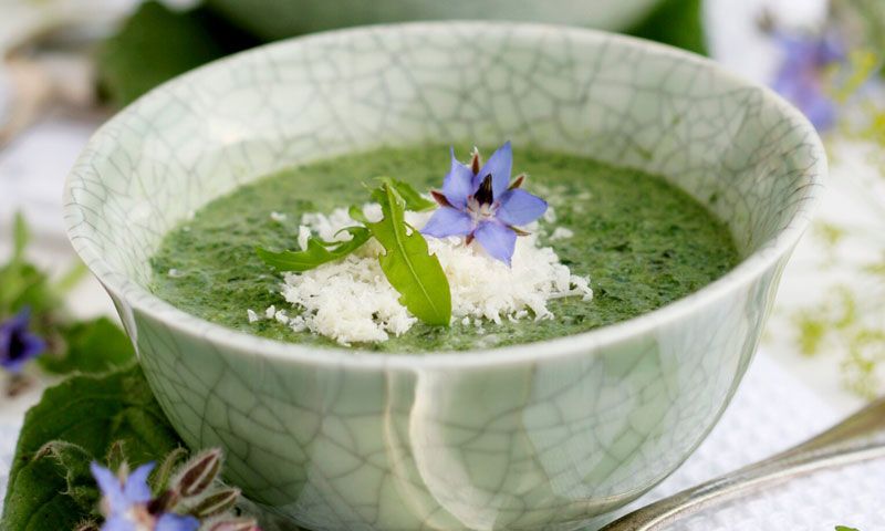 Sopa de borraja y rúcula con parmesano