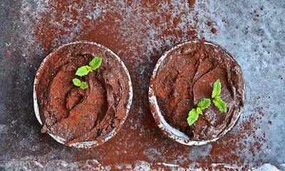 'Mousse' de chocolate y aguacate con jarabe de arce