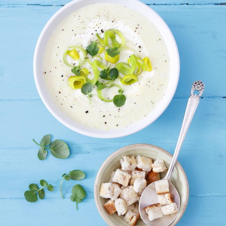 'Vichyssoise'