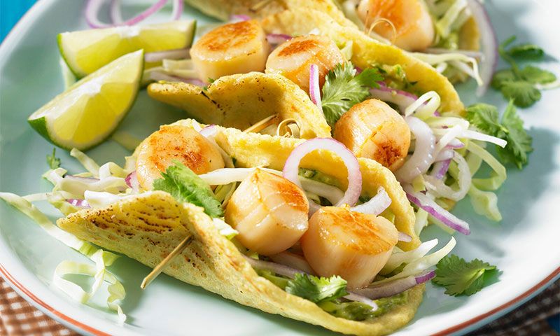 Tacos de vieiras a la plancha con ensalada de col