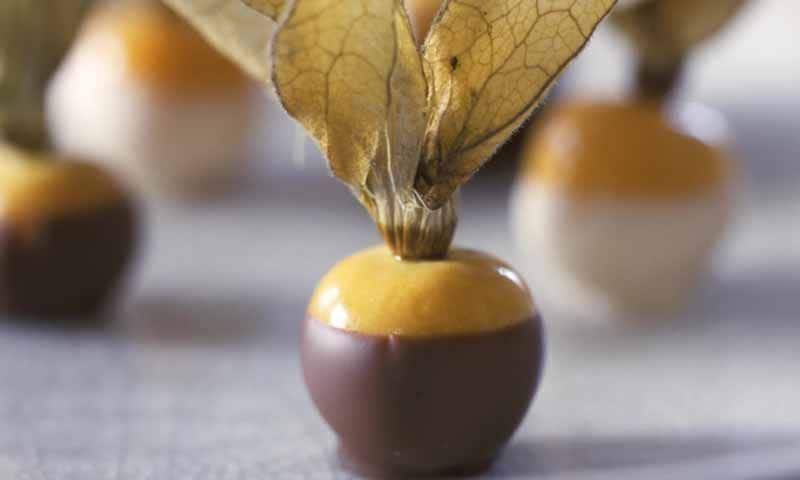 Physalis recubiertos de chocolate