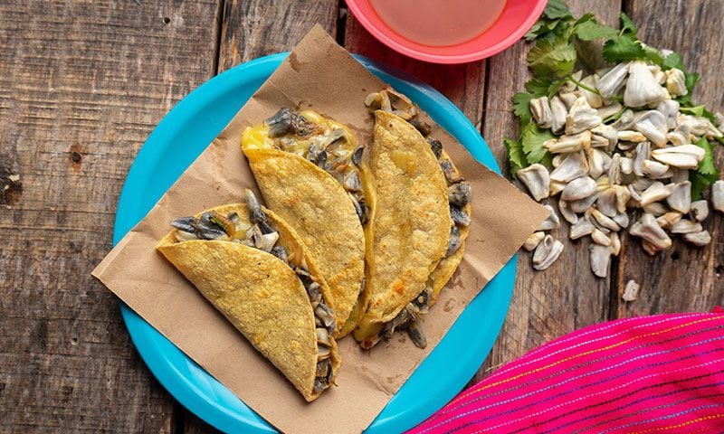 Quesadillas de huitlacoche