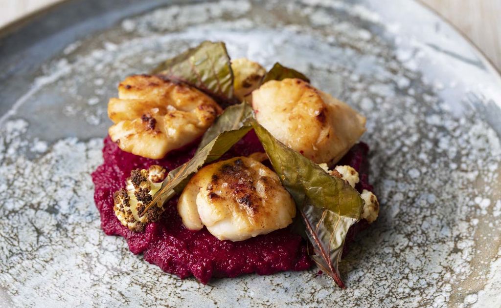 Vieiras la plancha con coliflor y puré de remolacha