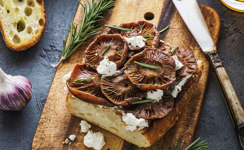 'Bruschetta' de níscalos y queso al romero