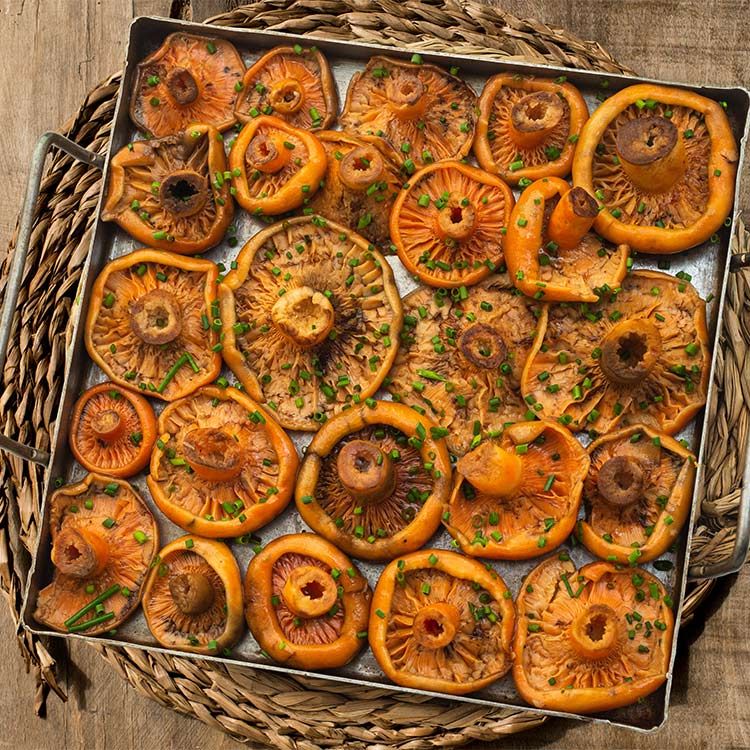 Níscalos al horno
