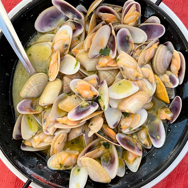 Coquinas al vino de Jerez