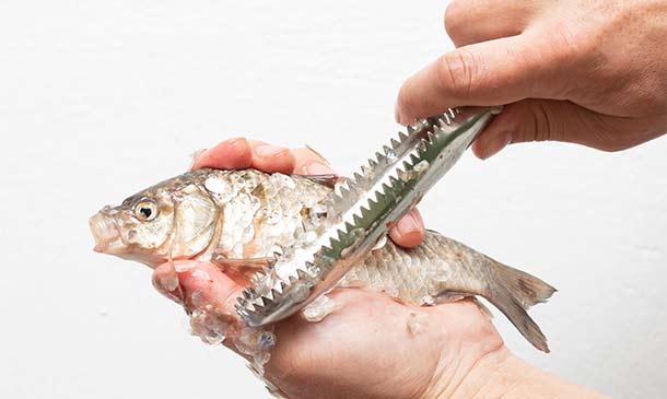 ¿Sabes limpiar correctamente el pescado? Te enseñamos cómo hacerlo paso a paso