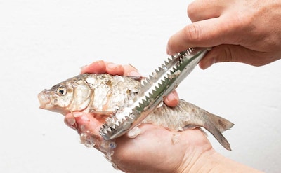 ¿Sabes limpiar correctamente el pescado? Te enseñamos cómo hacerlo paso a paso