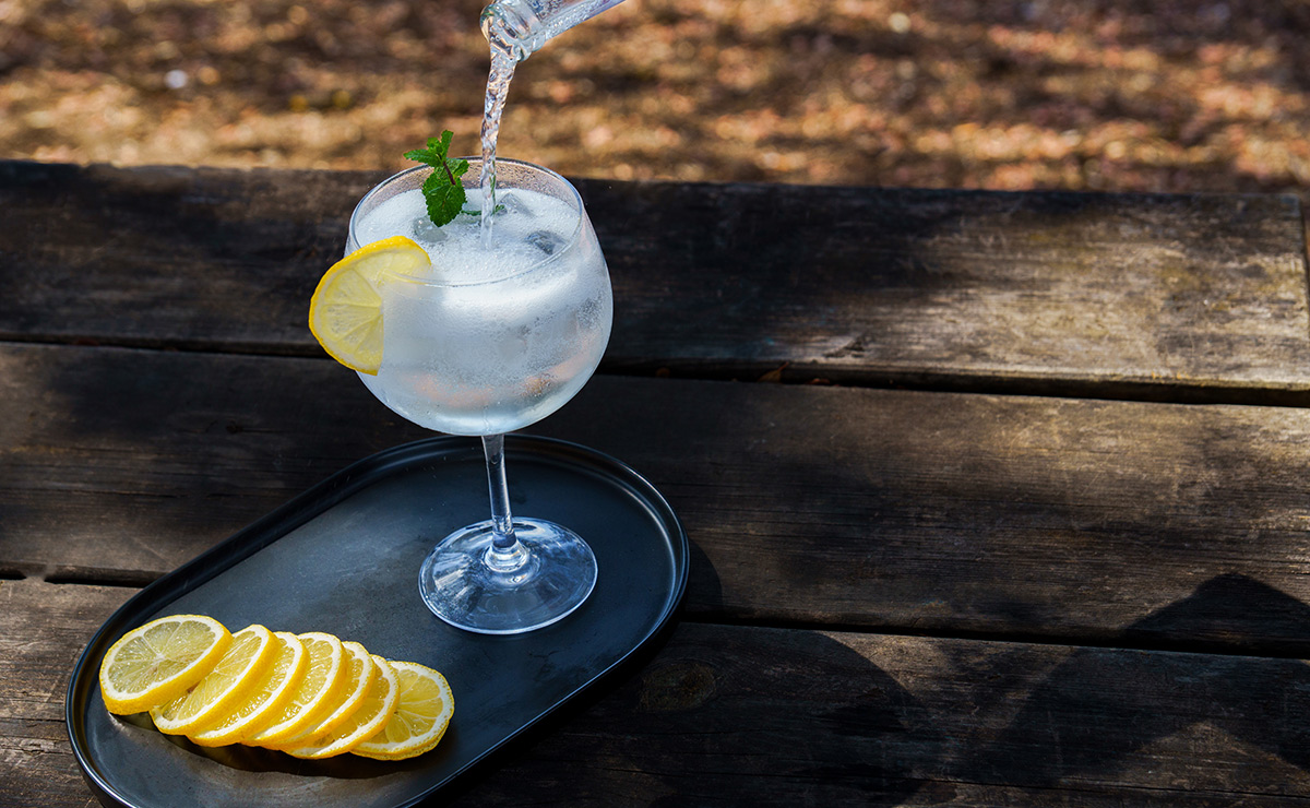 Cómo hacer el 'gin tonic' perfecto