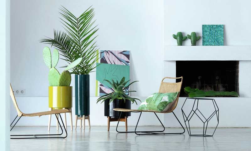 Plantas: el toque más fresco e inspirador de la decoración