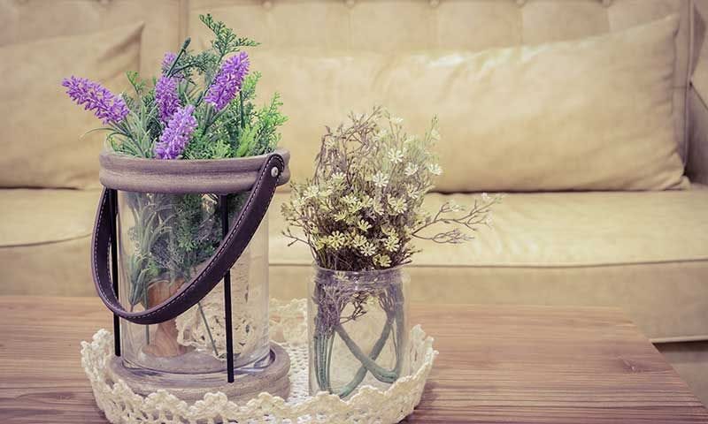 ¿Te faltan ideas para decorar tu casa con plantas?