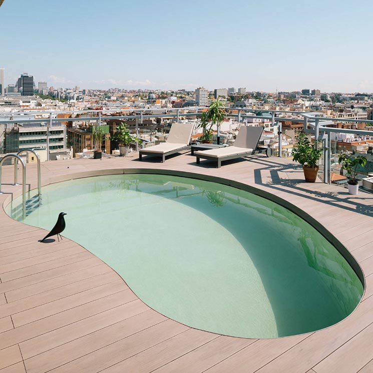 Si estás pensando en construirte una piscina, mira cómo son las mejores