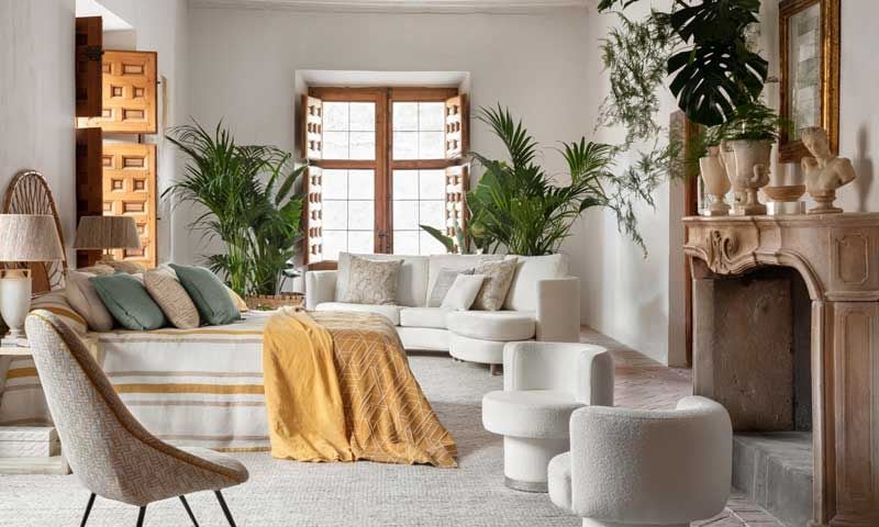 Decorar el salón según su orientación Orientación sur: elige las plantas adecuadas