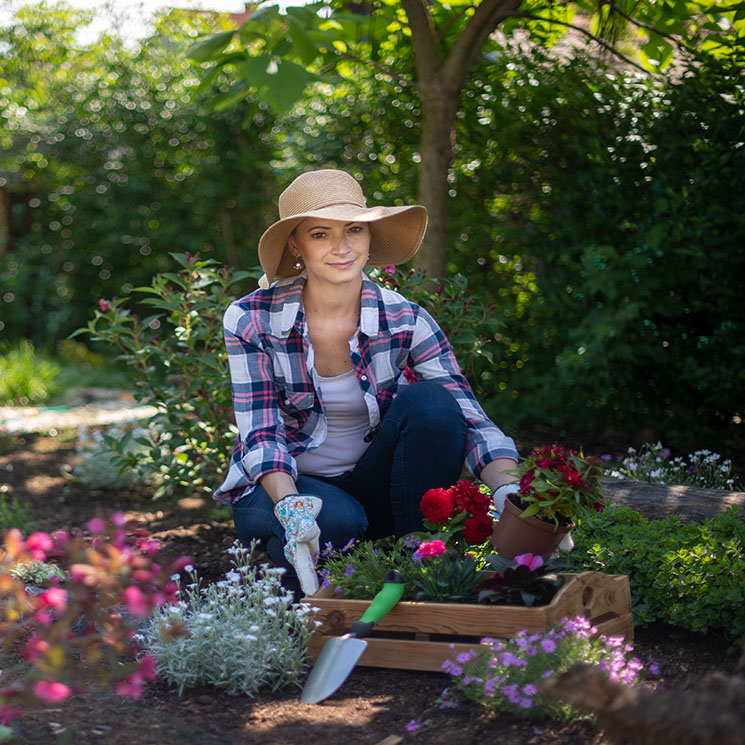 10 plantas perfectas para cultivar en primavera