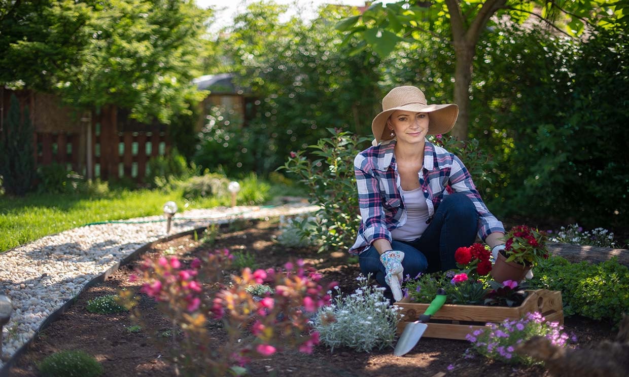 10 Plantas Perfectas Para Cultivar En Tu Jardin Esta Primavera Foto 1