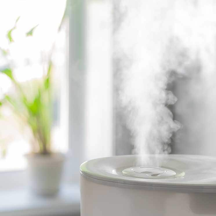 Ideas para hacer humidificadores en casa y combatir la sequedad